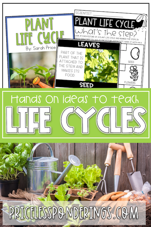 Life Cycle Activities for Kids (Plants & Animals Made Easy) Life cycle activities for kids including plant life cycle activities for elementary students