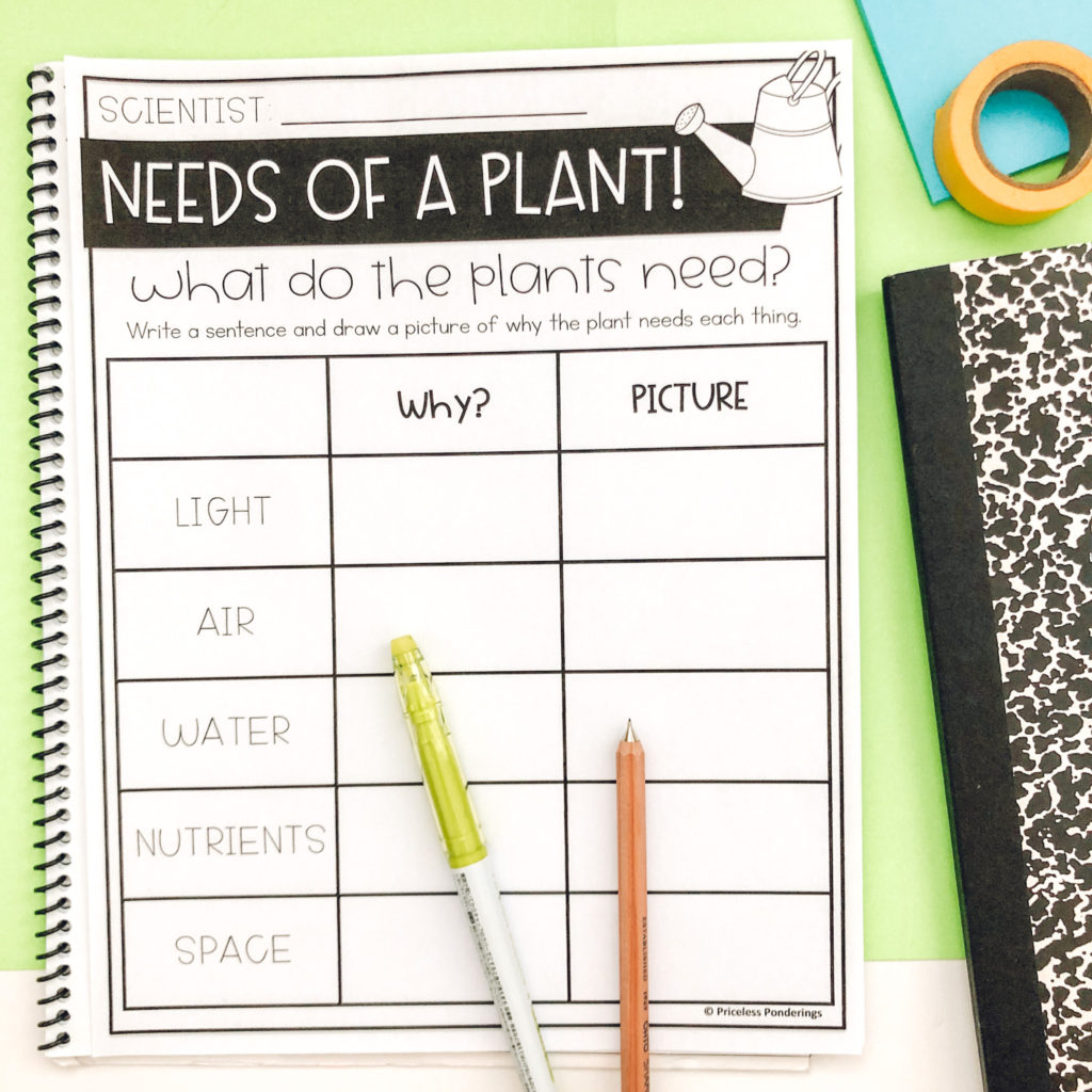 low prep all about plants and seeds activities for kids