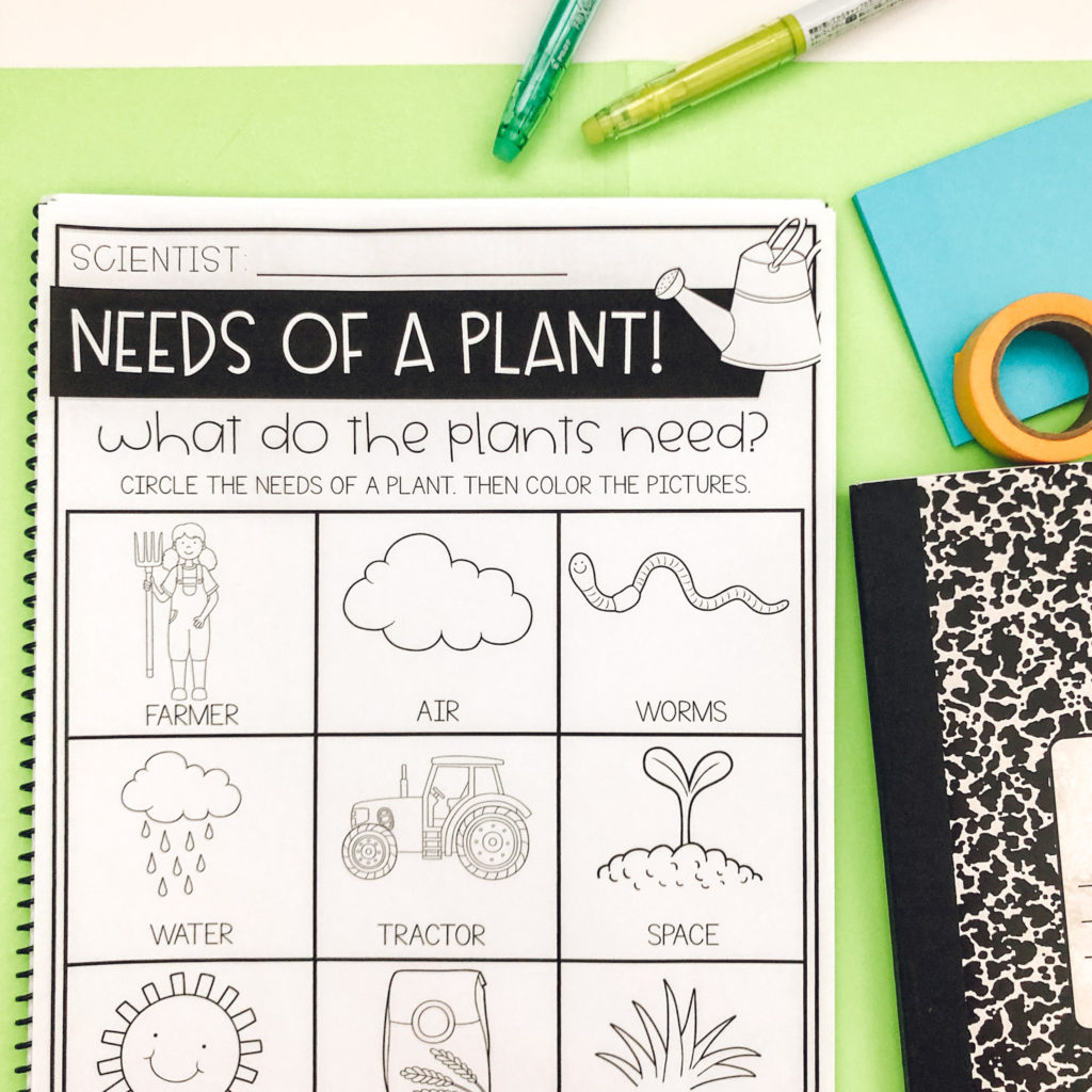 Low-Prep All About Plants and Seeds Activities for Kids