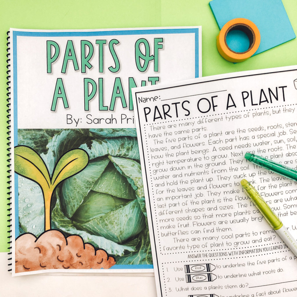 plants and seeds activities for kids reading passage