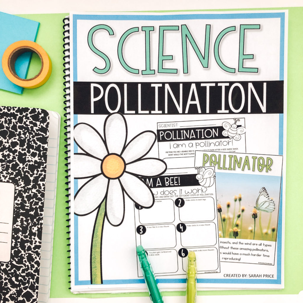 pollination activities for kids blog post image 