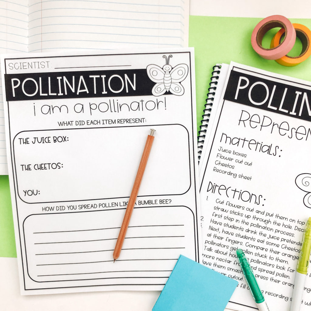 pollination activities for kids science experiment picture 