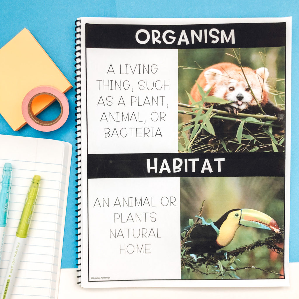 low-prep habitats vocabulary activities