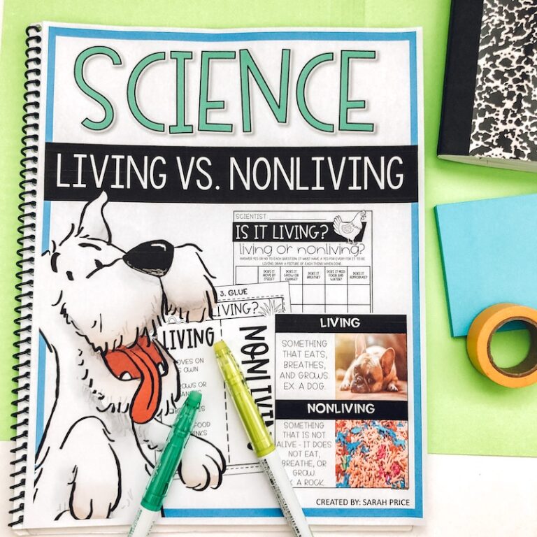 this is a photo of an activity for teaching living vs. non living things. It is an image for a blog post with fun activities teachers can use.