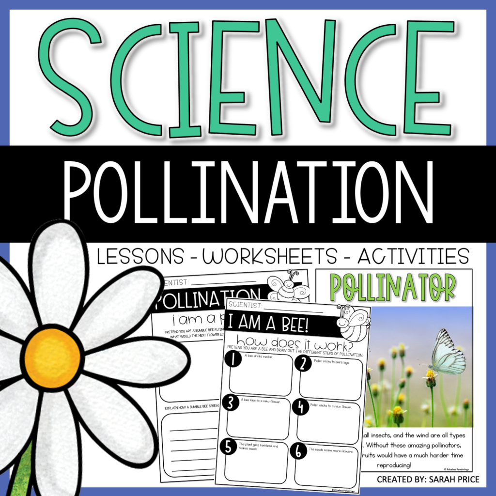 Pollination printables on TPT