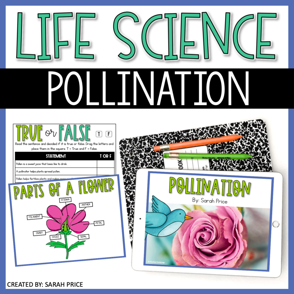 Pollination activities for kids on TPT