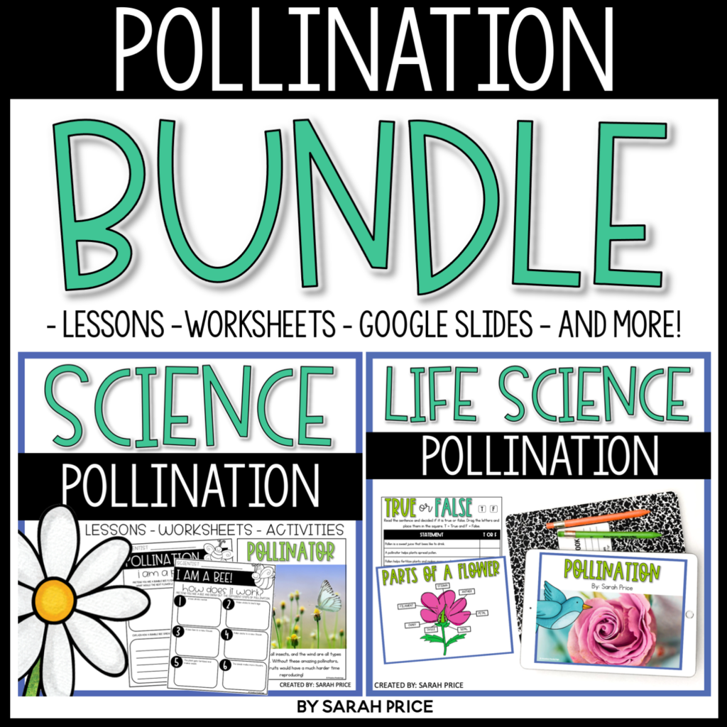 Pollination printables and digital activities on TPT