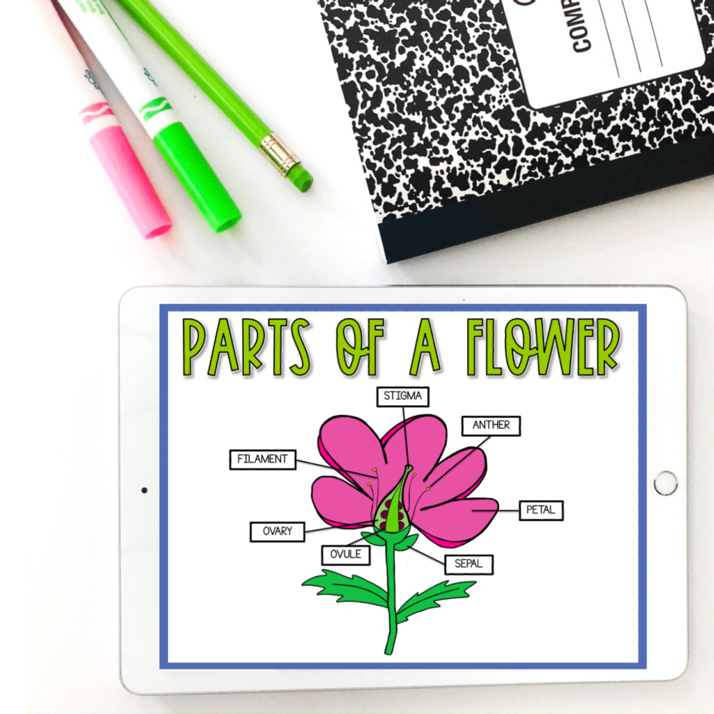 digital pollination activities for kids