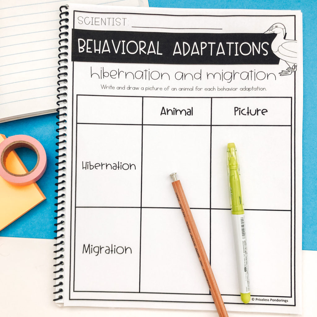 behavioral adaptations worksheets image 