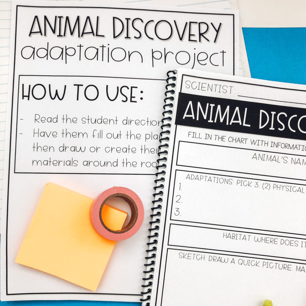 animal adaptation project page image 