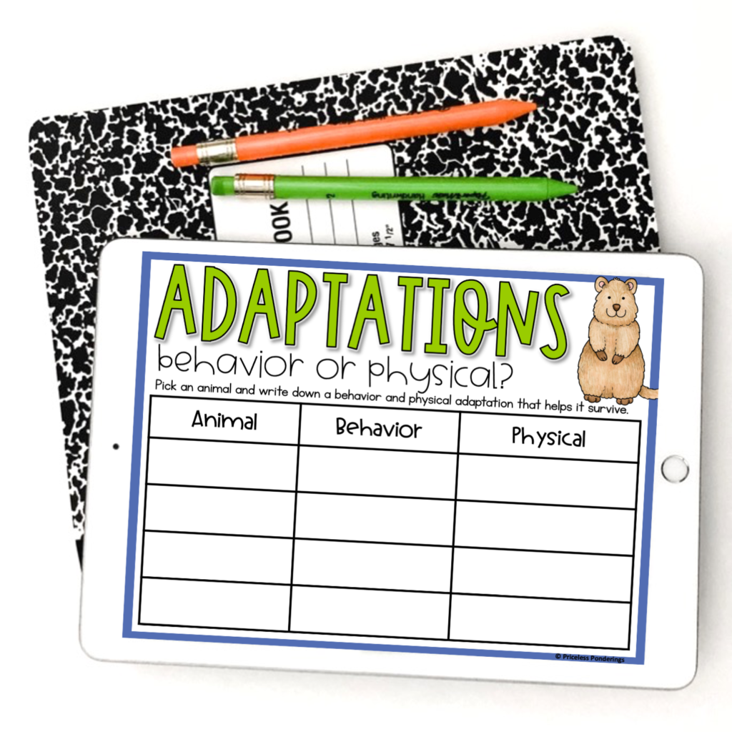 digital activities for animal adaptations