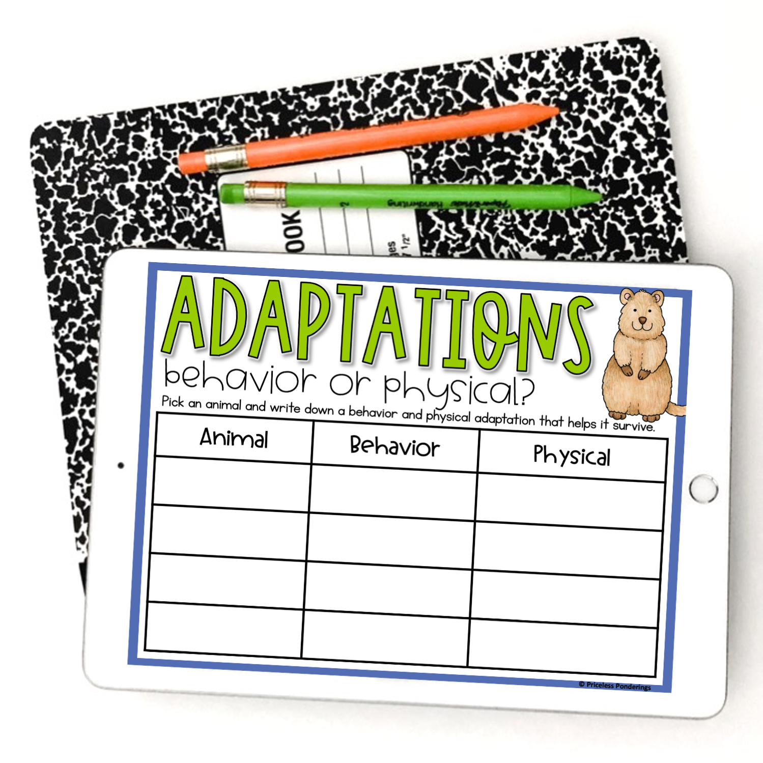 The Ultimate Guide: Activities For Animal Adaptations and Lesson Plans -  Priceless Ponderings