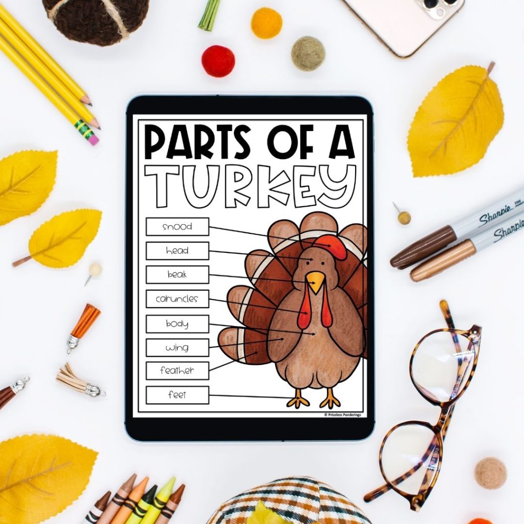 Thanksgiving anchor charts for kids blog post