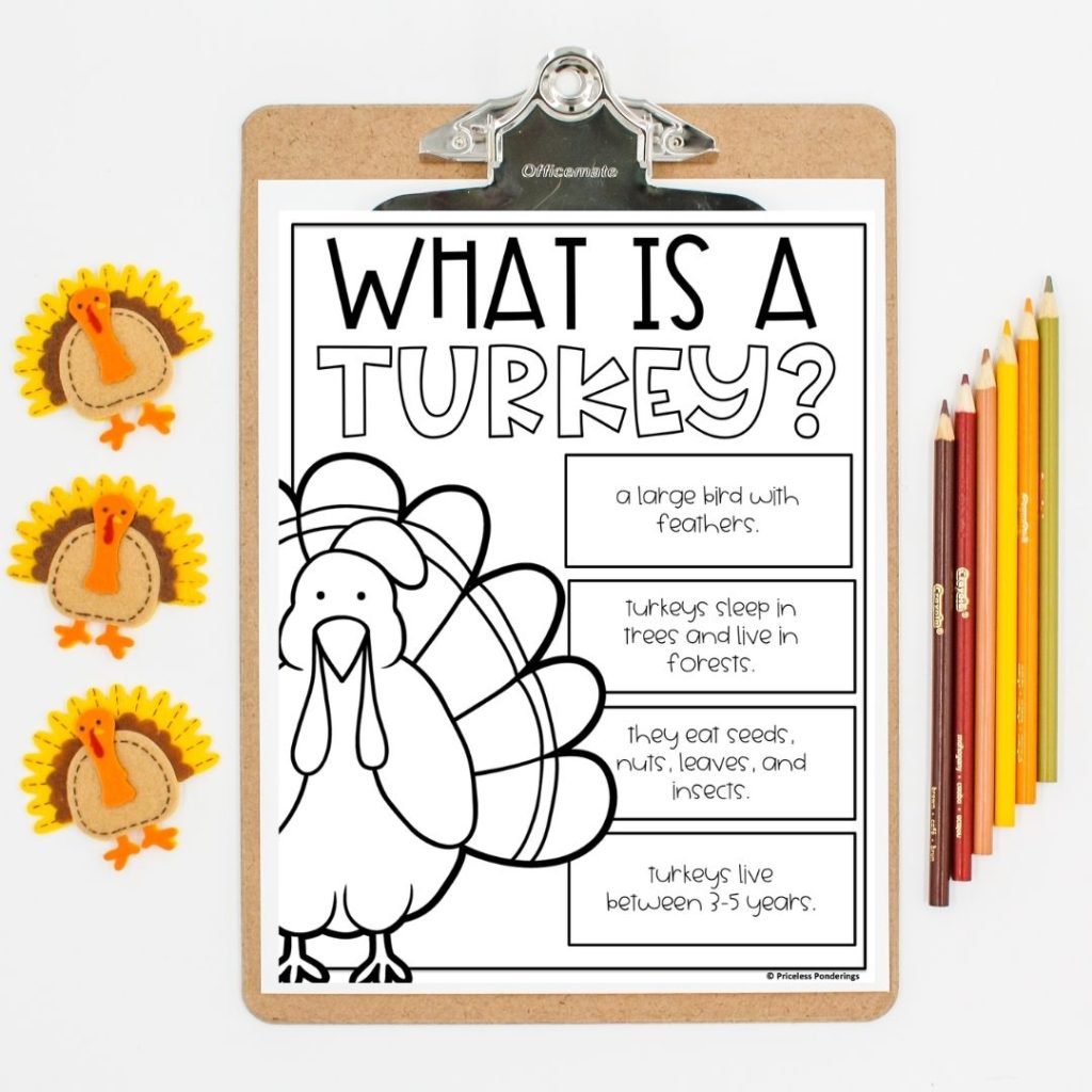 free turkey facts anchor chart picture