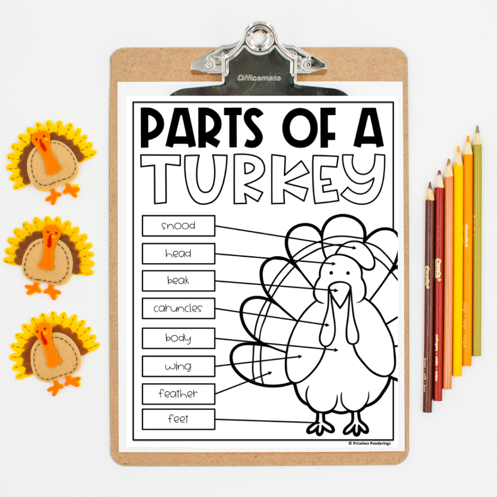 parts of a turkey Thanksgiving anchor charts picture 