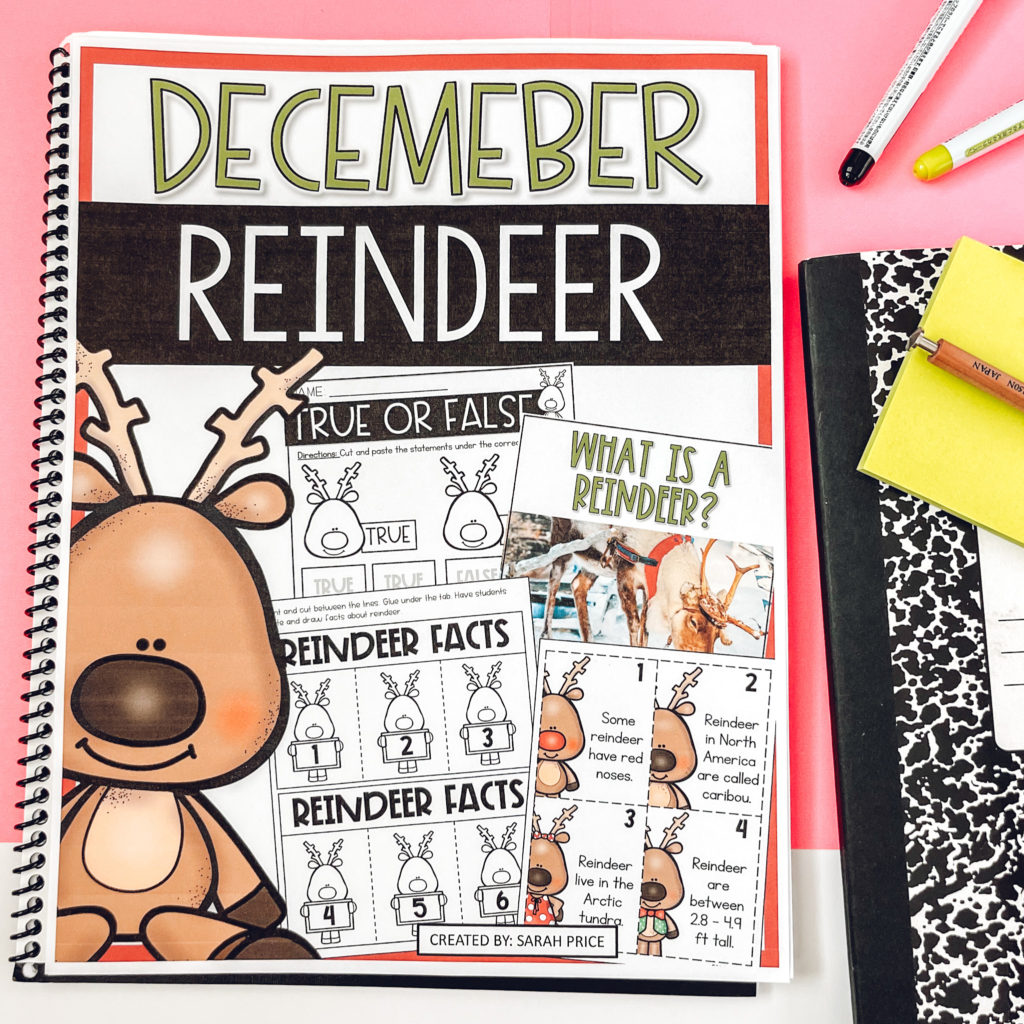 reindeer activities for second grade blog post image