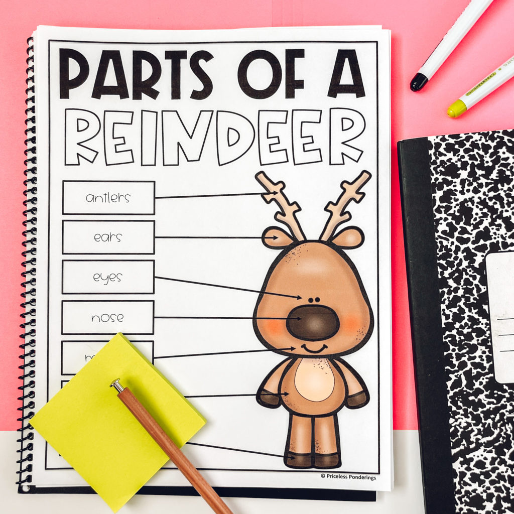 reindeer anchor chart picture 