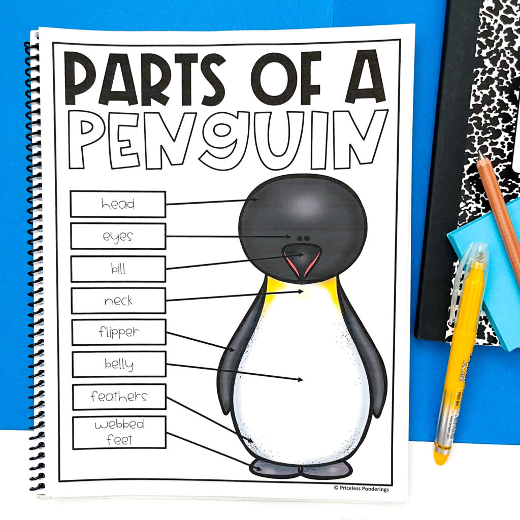 January anchor charts all about penguins 