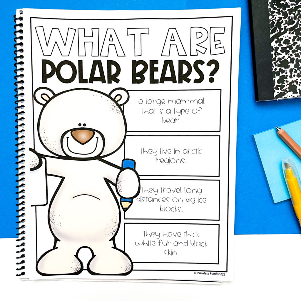 teaching about polar bears anchor chart picture 