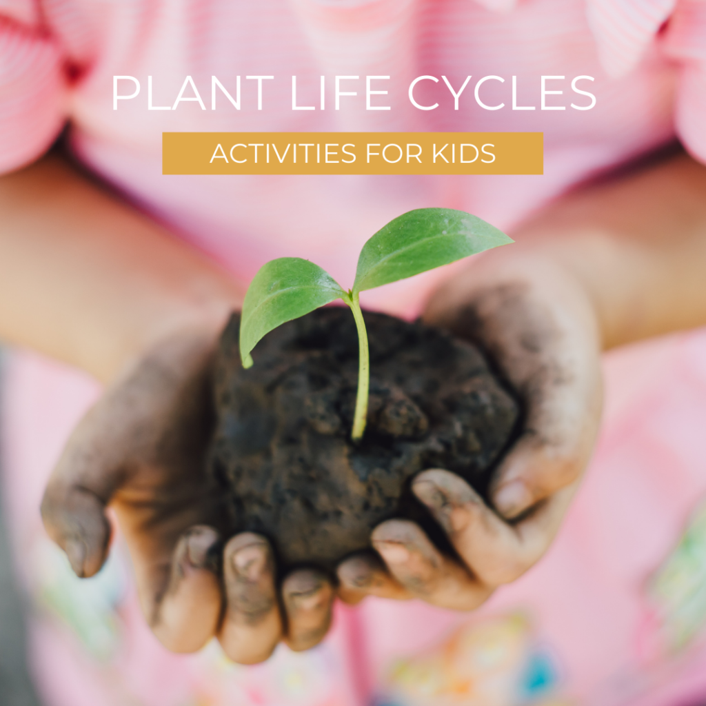 elementary science units on plant life cycle for 2nd grade blog post image