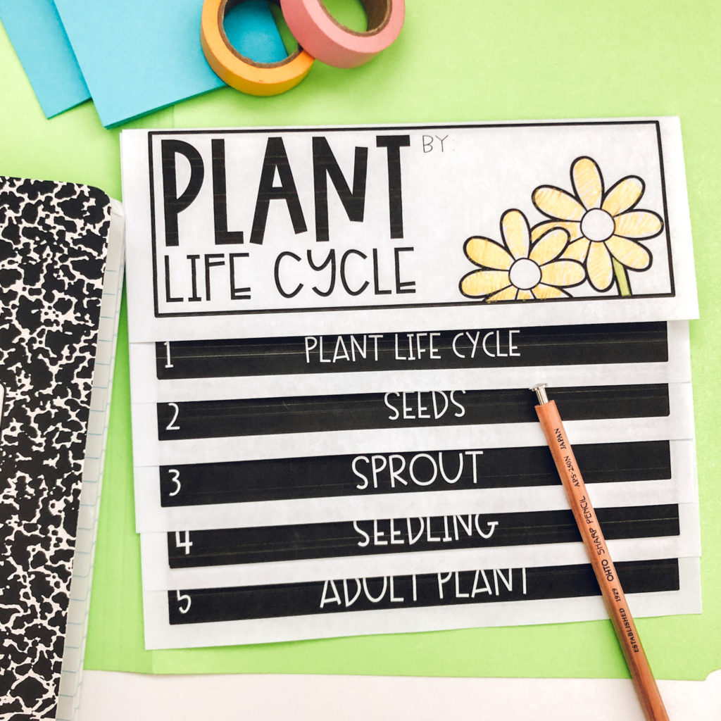 life cycles of a plant flip book for elementary science units 