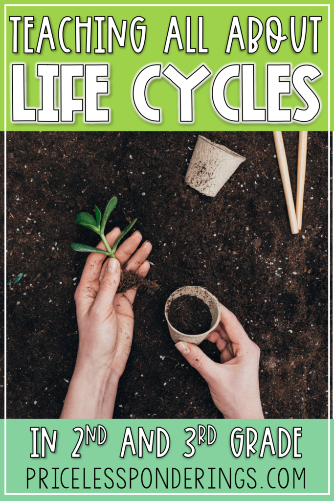 life cycle lesson plans for 2nd grade post pin image