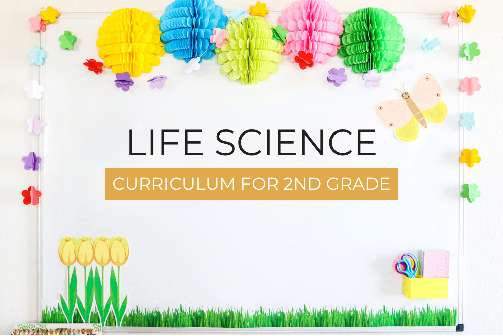 Life Science Curriculum: 7 Easy Topics For 2nd Grade life science curriculum for 2nd grade classroom display with colorful paper decorations
