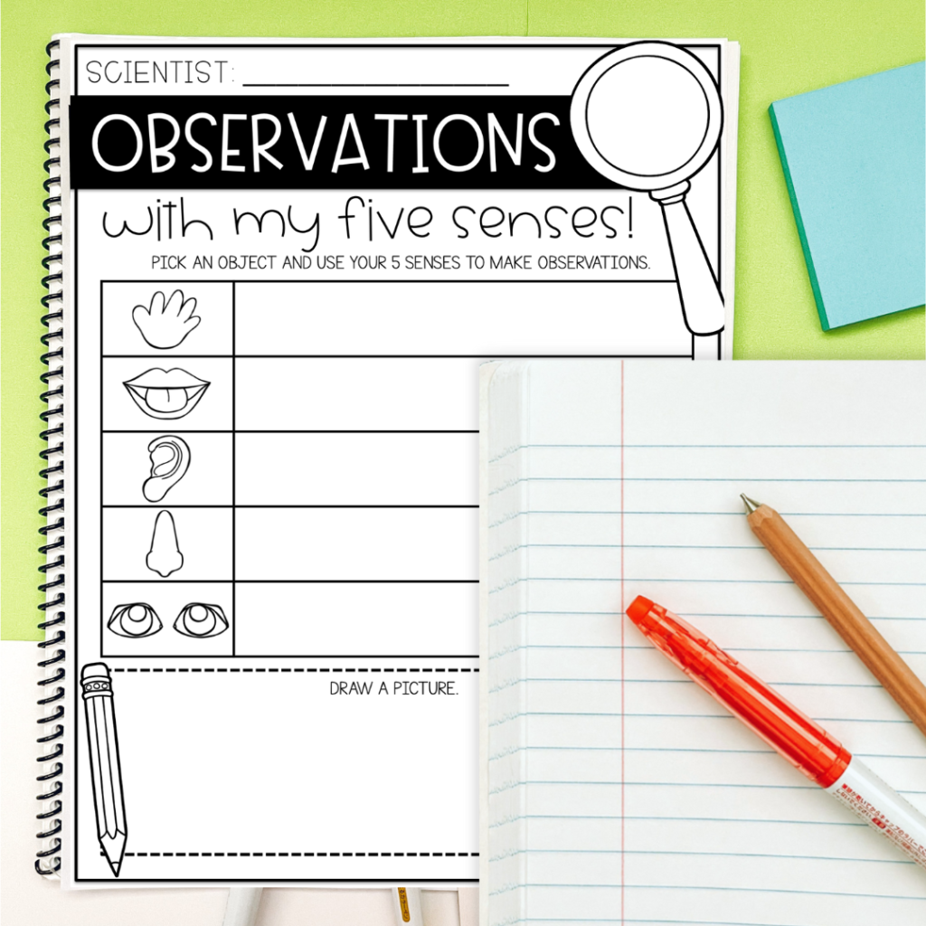 how to make observations in science activity