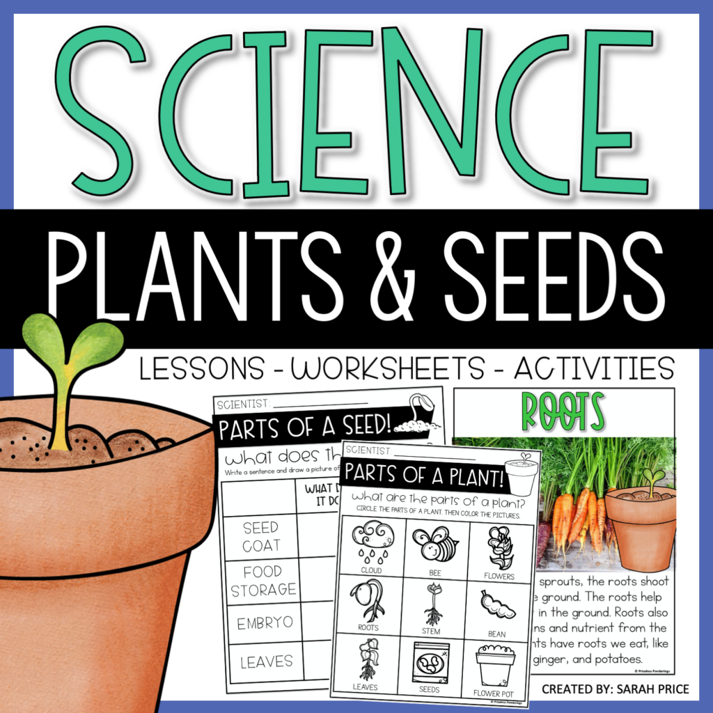 parts of a plant and seeds activity pack image 