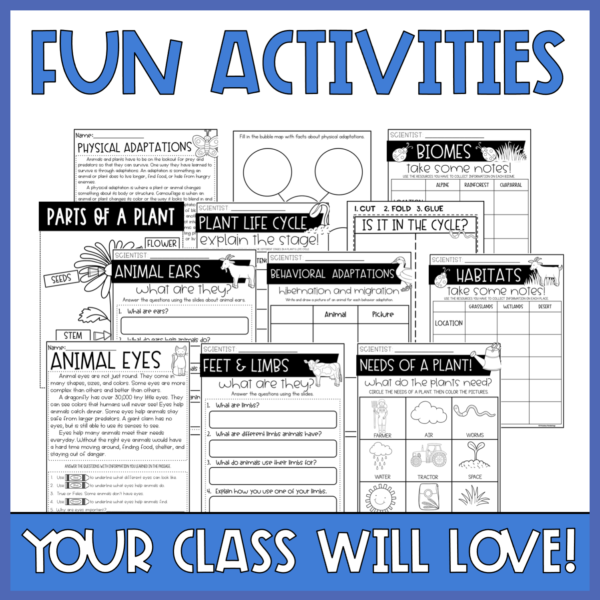 2nd Grade Life Science | Plants Animals Habitats | Worksheets & Digital Bundle - Image 8