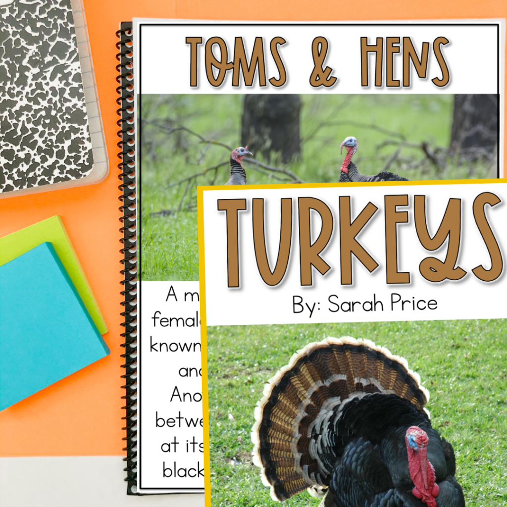 Turkey reading comprehension image