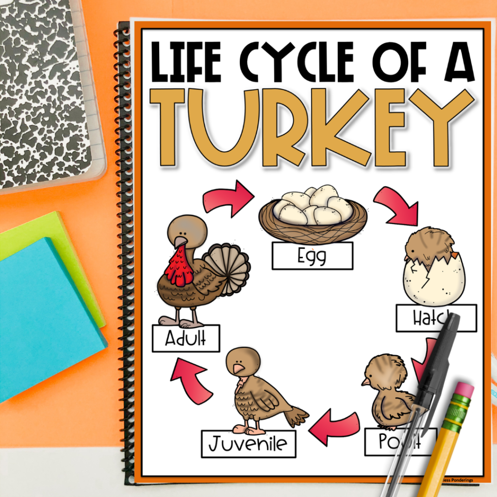 turkey activities for kids anchor charts