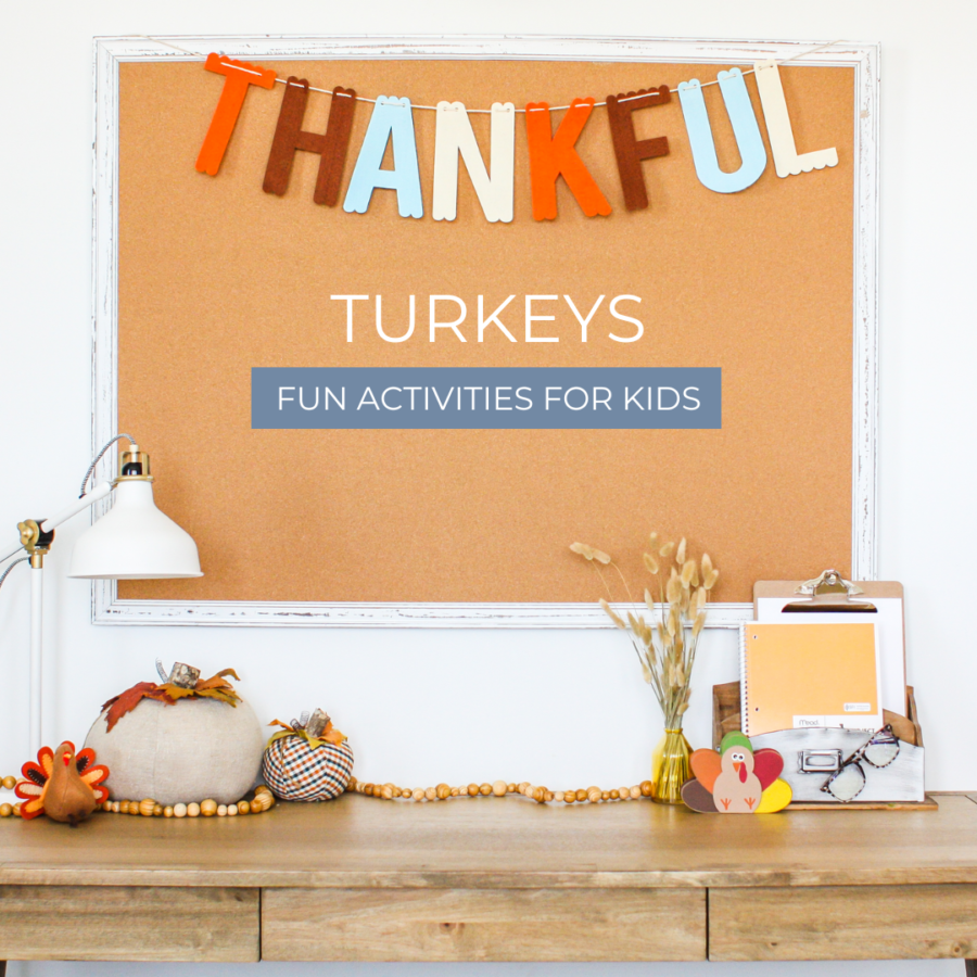 Turkey Class Activity Easy Activities To Teach Kids About Turkeys - Priceless Ponderings