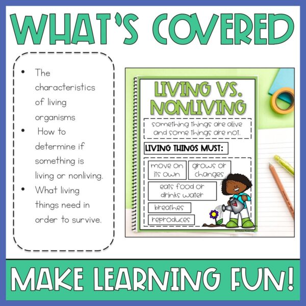 1st & 2nd Grade Life Science - Living & Non-Living Things Activities & Lessons - Image 3