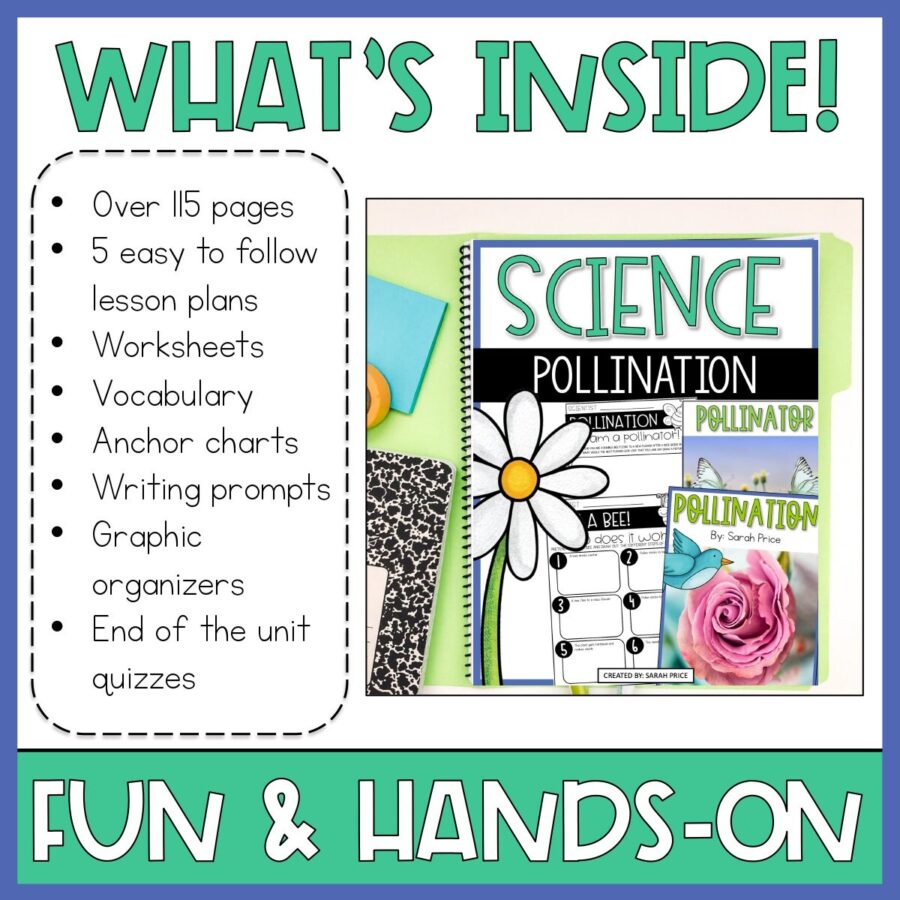 3rd Grade Science Plants Unit Parts Of A Flower And Pollination ...