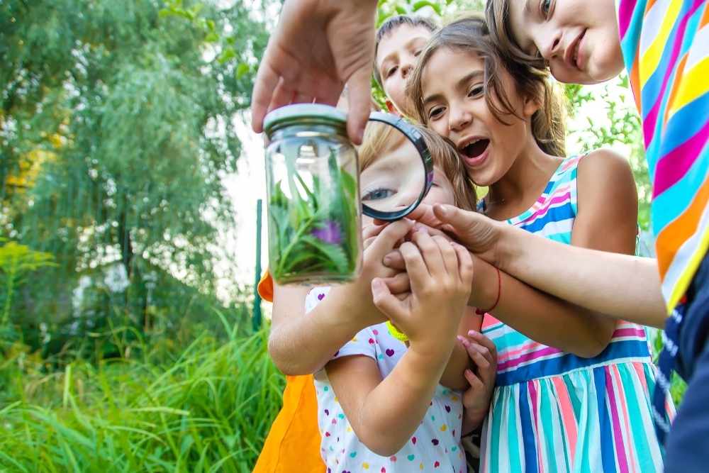 Picture of kids outside learning about plants and pollination using Parts Of A Plant Worksheets