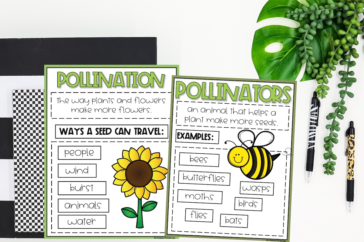 Life Science Made Simple with These Anchor Chart Examples This is a photo of a printable science poster. It is. a picture of two anchor charts for science and examples that teachers can copy to help them teach their class about pollination and different types of pollinators.