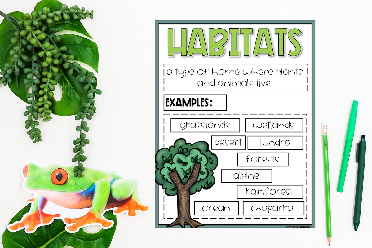 Life Science Made Simple with These Anchor Chart Examples This is a photo of an anchor chart for science. It is. a picture of a poster that teachers can copy to help them teach their class about different types of habitats that animals live in.
