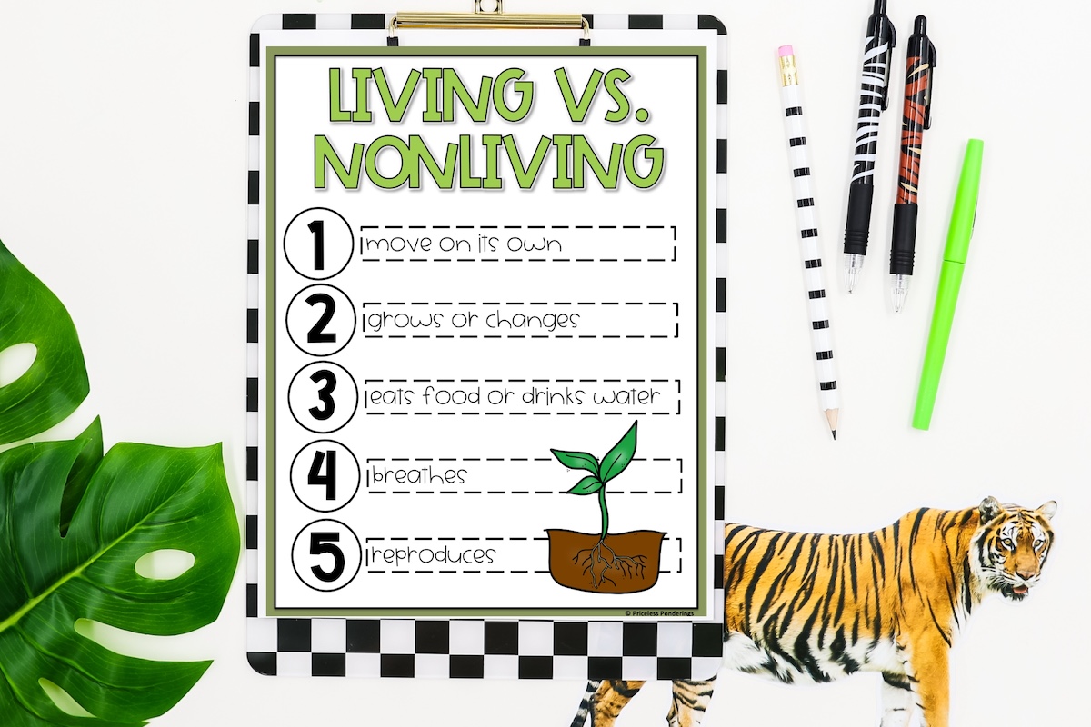 Life Science Made Simple with These Anchor Chart Examples This is a photo of an anchor chart for science. It is. a picture of a poster that teachers can copy to help them teach their class about living vs. nonliving things. It includes 5 ways that students can tell if something is living or nonliving.