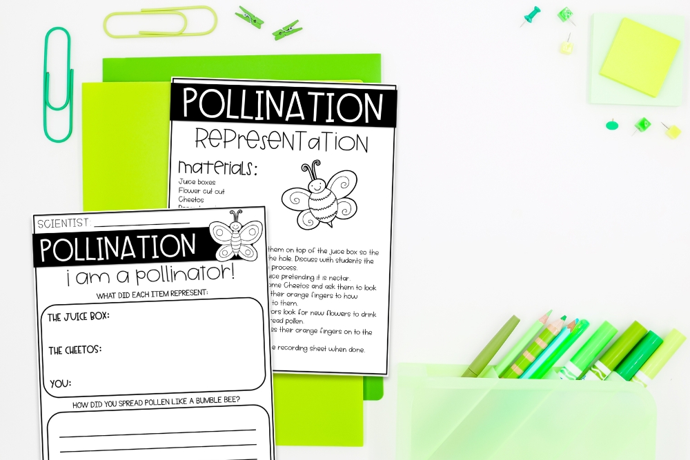 A picture of a science experiment that teachers can use to teach their class about pollination and how pollinators help plants grow.