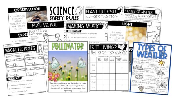 The Best End Year Activities To Reinforce 2nd Grade Science